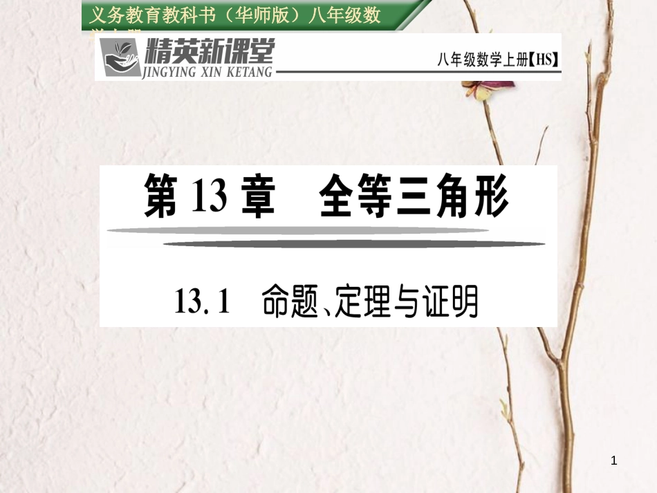 aabAAA八年级数学上册 13.1 命题、定理与证明课件 （新版）华东师大版_第1页