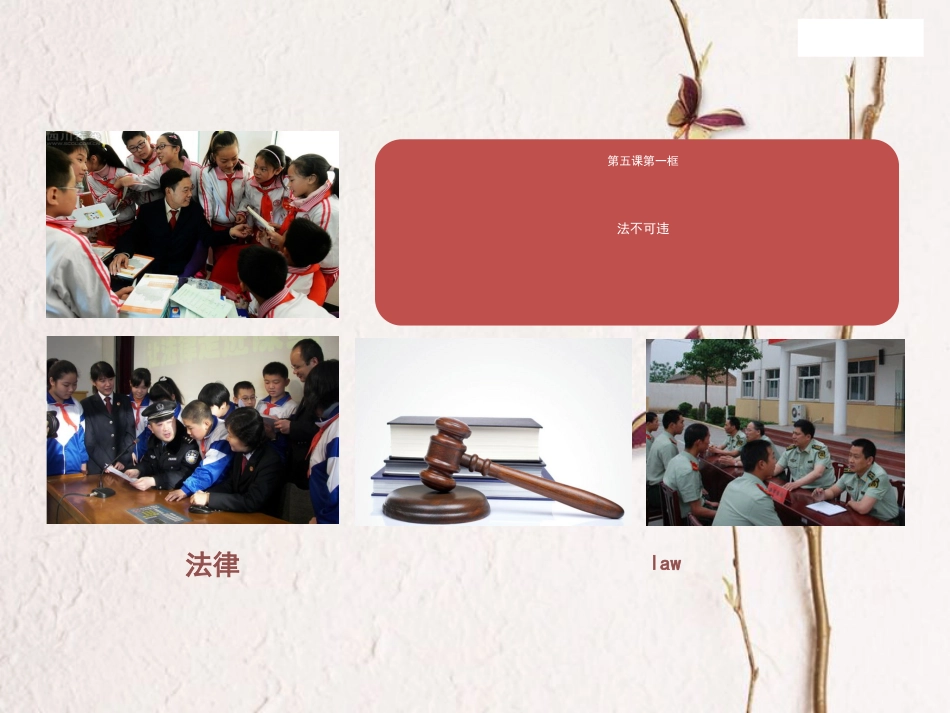 八年级道德与法治上册 第二单元 遵守社会规则 第五课 做守法的公民 第一框 法不可违课件 新人教版[共22页]_第1页