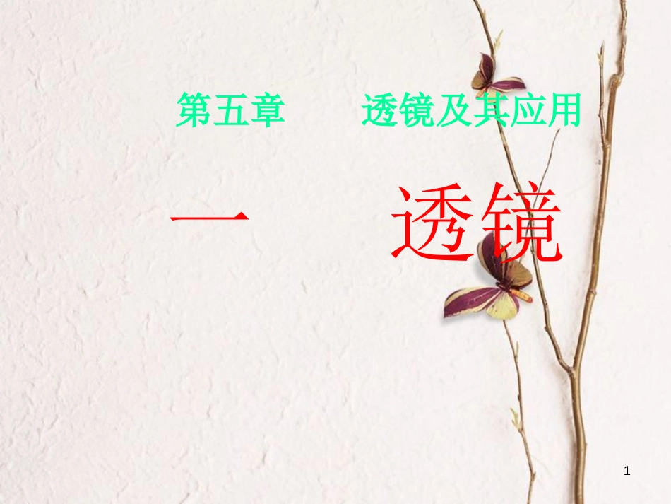 八年级物理上册 第五章 第1节 透镜课件 （新版）新人教版_第1页