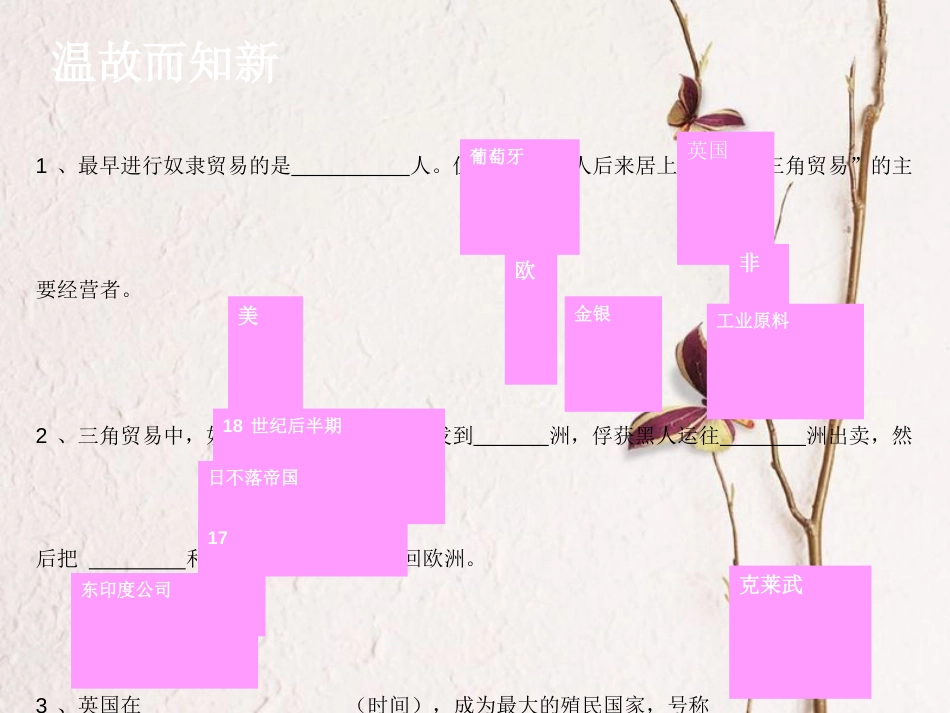 九年级历史上册 第五单元 第16课 殖民地人民的抗争教学课件 新人教版_第3页