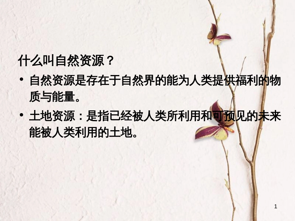 辽宁省抚顺市第一中学学年高一地理 世界地理 6中国资源课件1_第1页