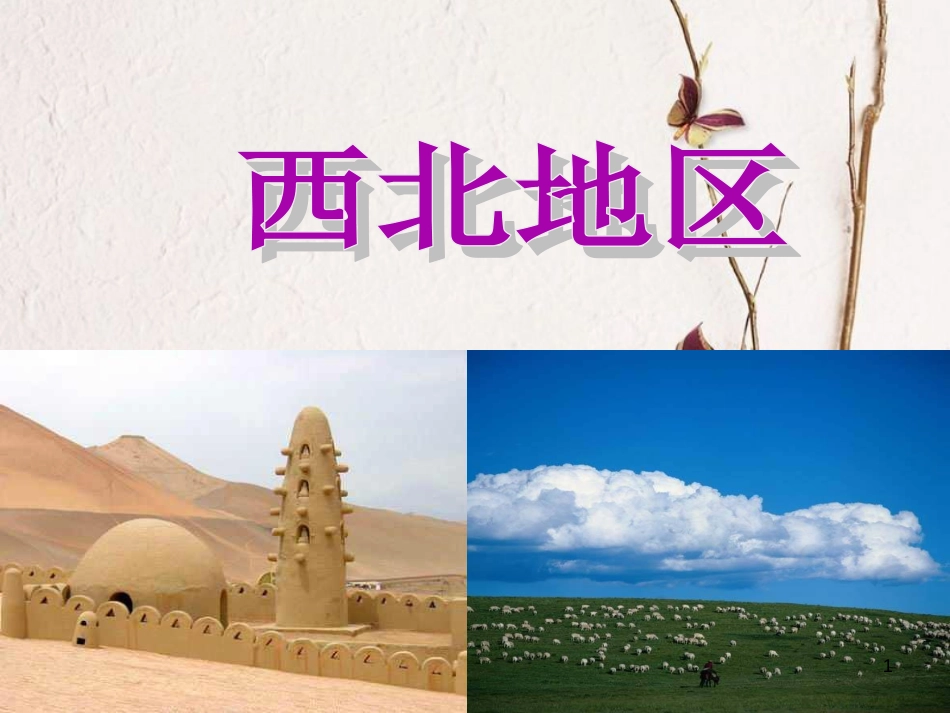 辽宁省抚顺市第一中学学年高一地理 世界地理 13西北地区课件1_第1页