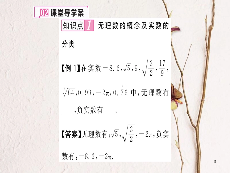 cxbAAA八年级数学上册 2.6 实数课件 （新版）北师大版_第3页