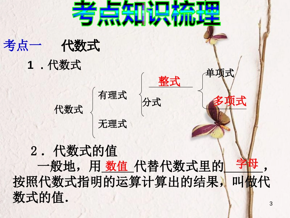 中考数学 第2讲 整式与因式分解复习课件2 （新版）北师大版[共19页]_第3页