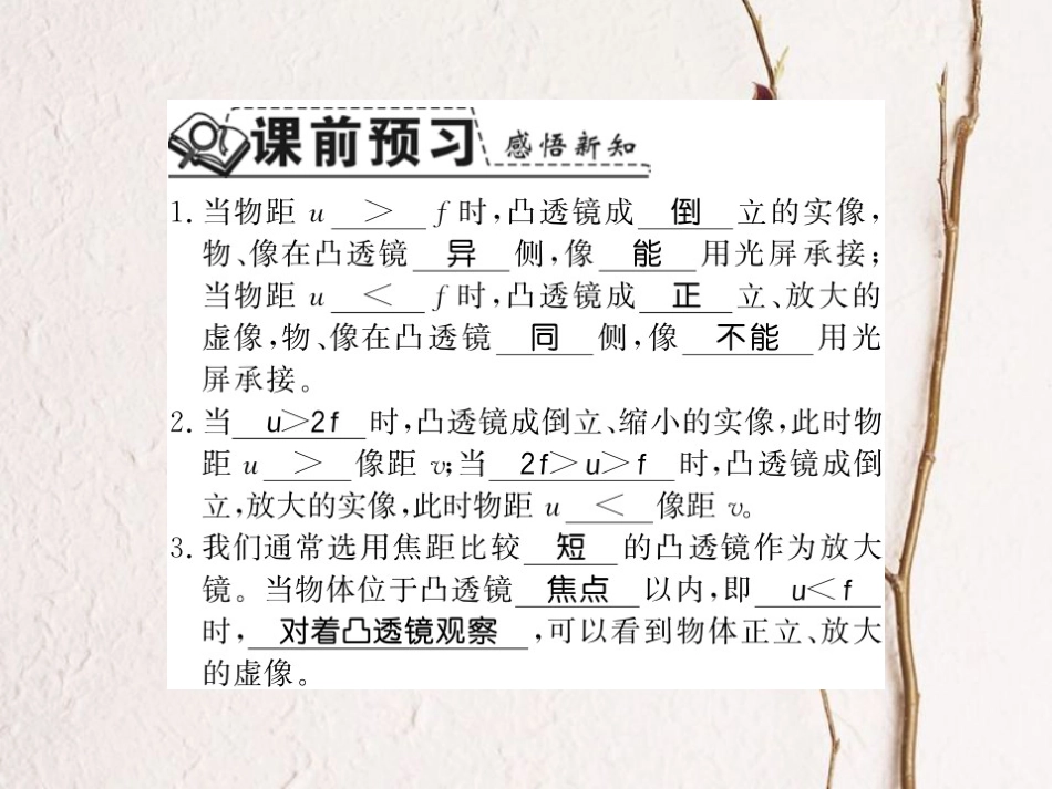 八年级物理上册 3.6 探究凸透镜成像规律 3.6.2 凸透镜成像规律的应用习题课件 （新版）粤教沪版_第2页