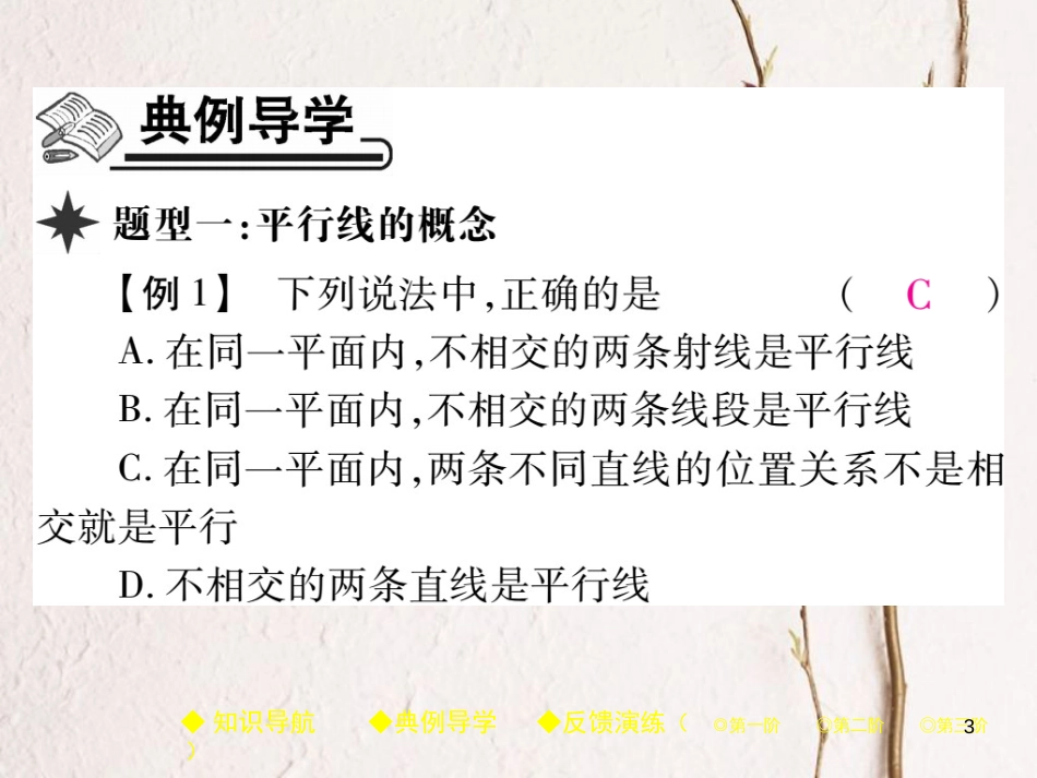 七年级数学下册 5.2 平行线及其判定 5.2.1 平行线课件 （新版）新人教版_第3页