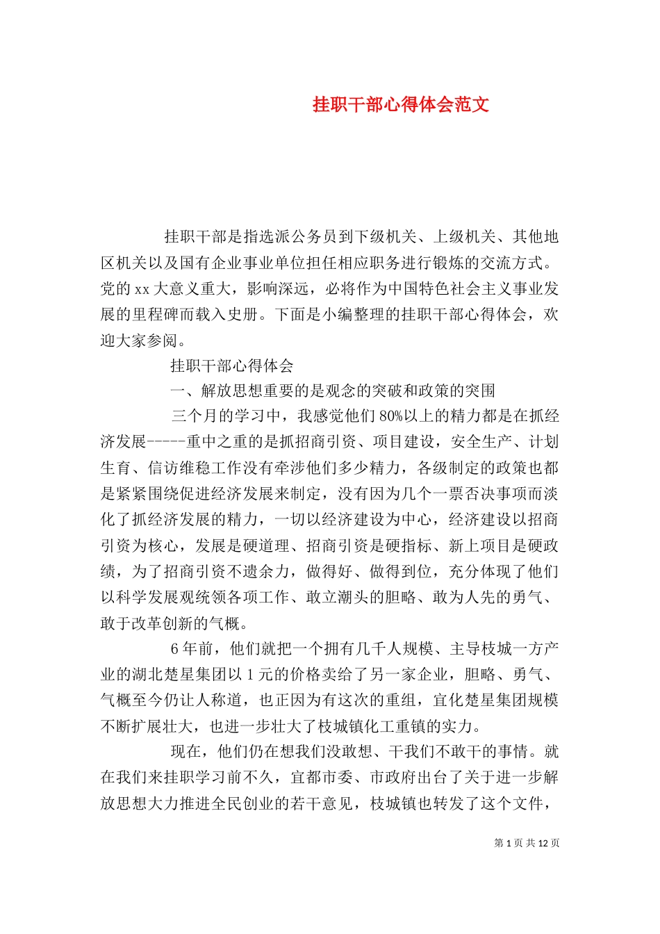 挂职干部心得体会范文_第1页