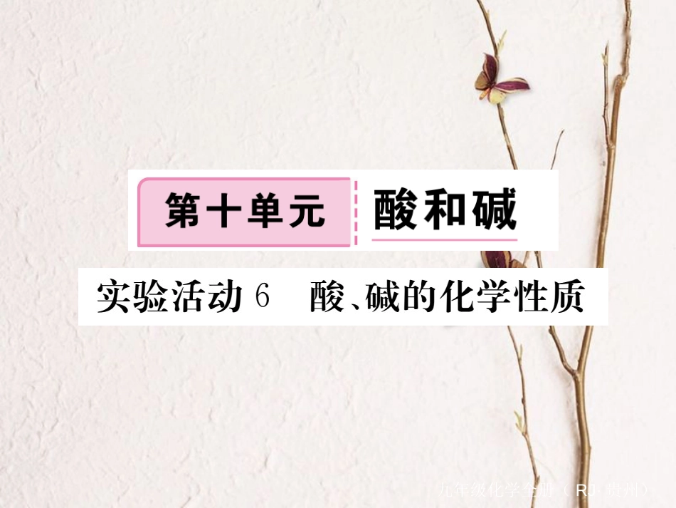 （贵州专）九年级化学下册 第十单元 实验活动6 酸、碱的化学性质复习课件 （新）新人教版_第1页