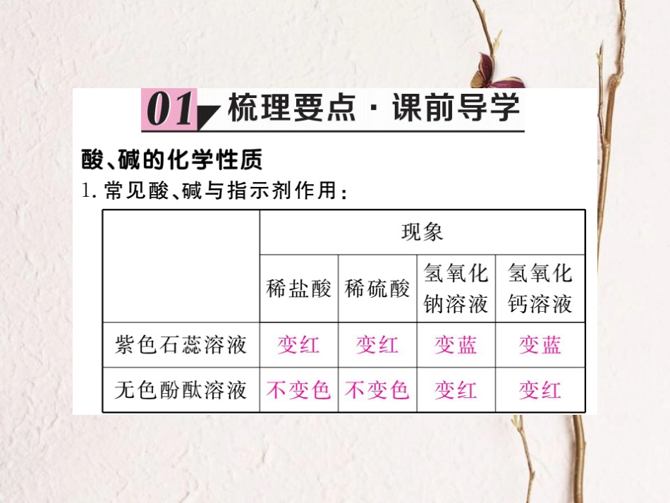 （贵州专）九年级化学下册 第十单元 实验活动6 酸、碱的化学性质复习课件 （新）新人教版_第2页