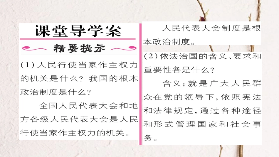 九年级政治全册 第三单元 融入社会 肩负使命 第六课 参与政治生活 第1框 人民当家作主的法治社会同步作业课件 新人教版[共22页]_第2页