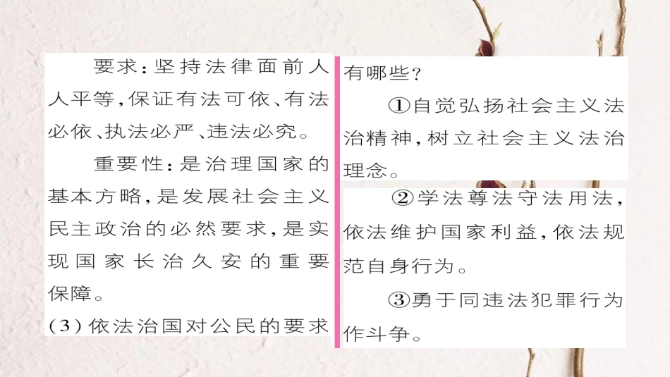 九年级政治全册 第三单元 融入社会 肩负使命 第六课 参与政治生活 第1框 人民当家作主的法治社会同步作业课件 新人教版[共22页]_第3页
