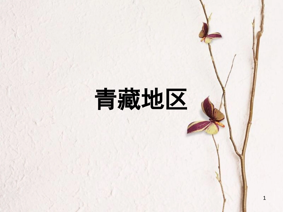 辽宁省抚顺市第一中学学年高一地理 世界地理 14青藏地区课件1_第1页