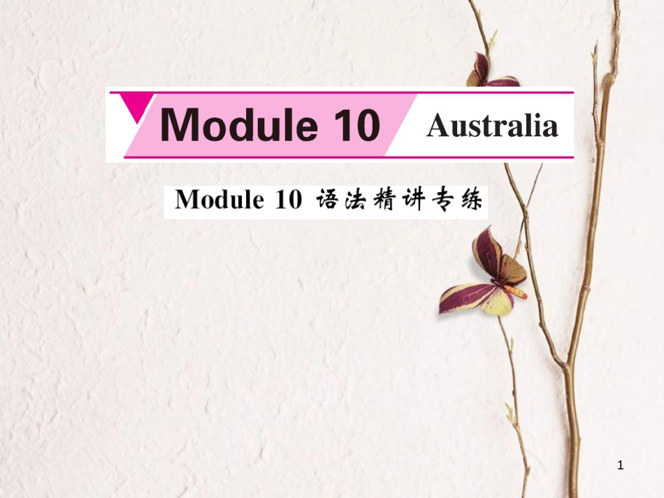 asdAAA九年级英语上册 Module 10 Australia语法精讲专练课件 （新版）外研版_第1页