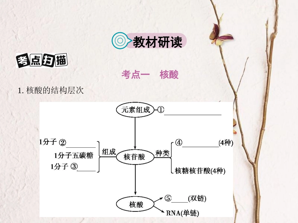 （新课标）高考生物一轮复习 分子与细胞 第1单元 细胞的分子组成 第3讲 核酸、糖类与脂质课件（必修1）[共34页]_第2页