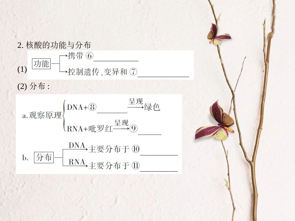 （新课标）高考生物一轮复习 分子与细胞 第1单元 细胞的分子组成 第3讲 核酸、糖类与脂质课件（必修1）[共34页]_第3页