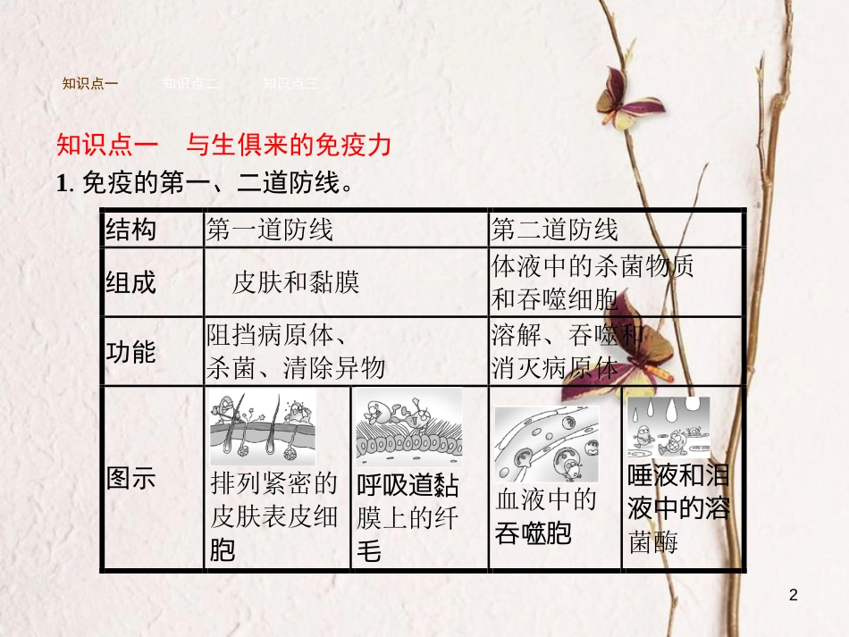 七年级生物下册 3.6.1人体的免疫功能课件 （新版）济南版_第2页