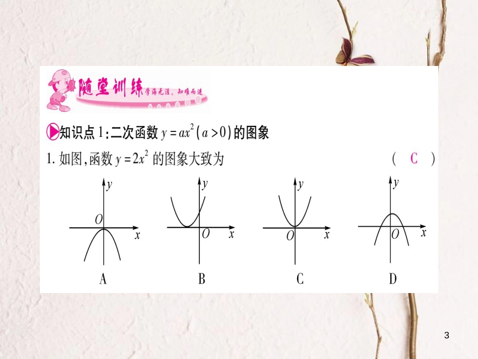 九年级数学下册 1.2 二次函数的图象与性质习题课件 （新版）湘教版_第3页