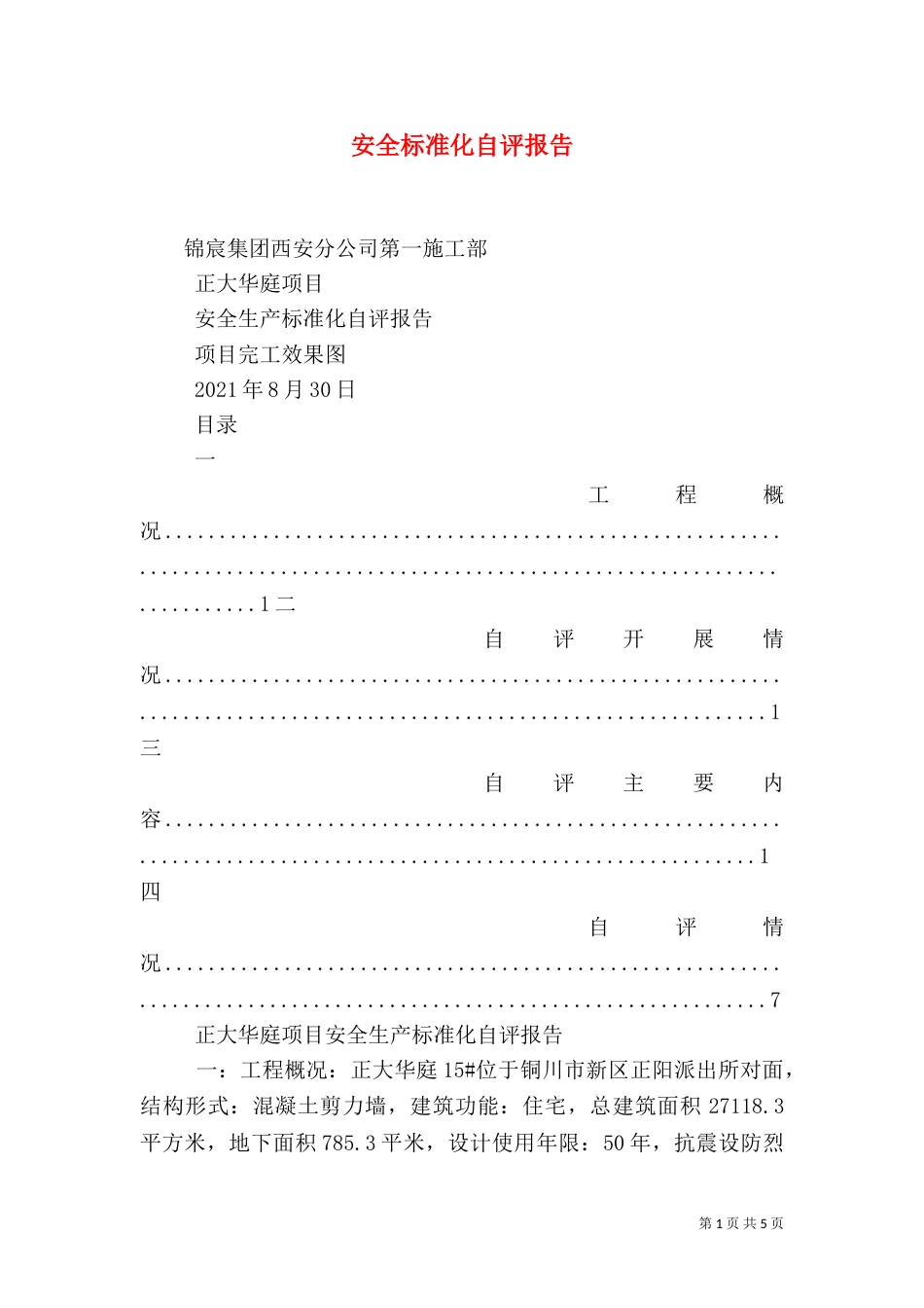 安全标准化自评报告（二）_第1页