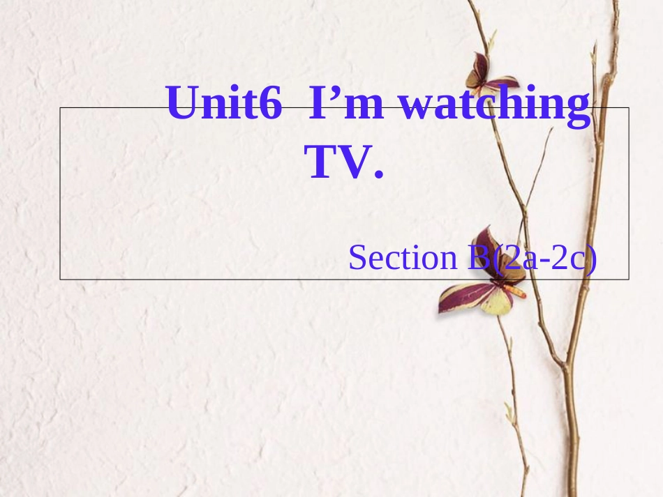 （水滴系列）七年级英语下册 Unit 6 I’m watching TV（第5课时）Section B（2a-2c）课件 （新）人教新目标_第1页