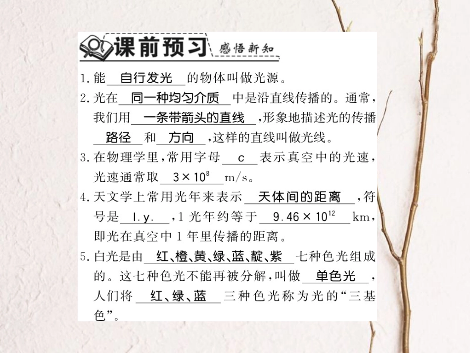 八年级物理上册 3.1 光世界巡行习题课件 （新版）粤教沪版_第2页