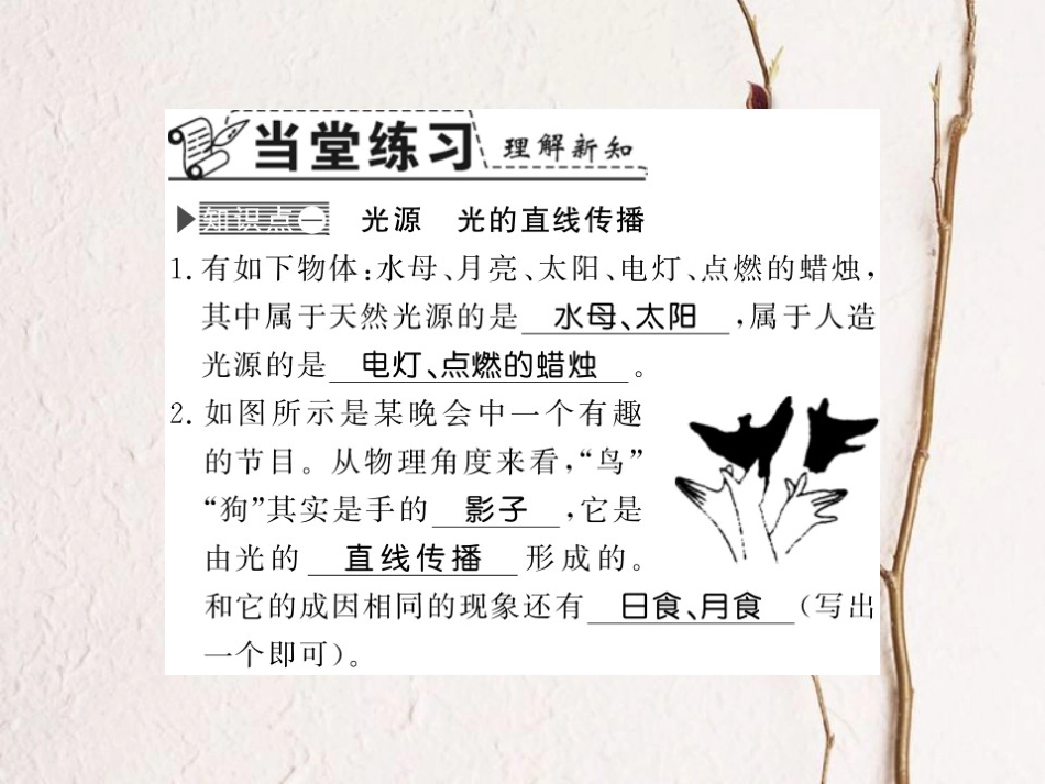 八年级物理上册 3.1 光世界巡行习题课件 （新版）粤教沪版_第3页