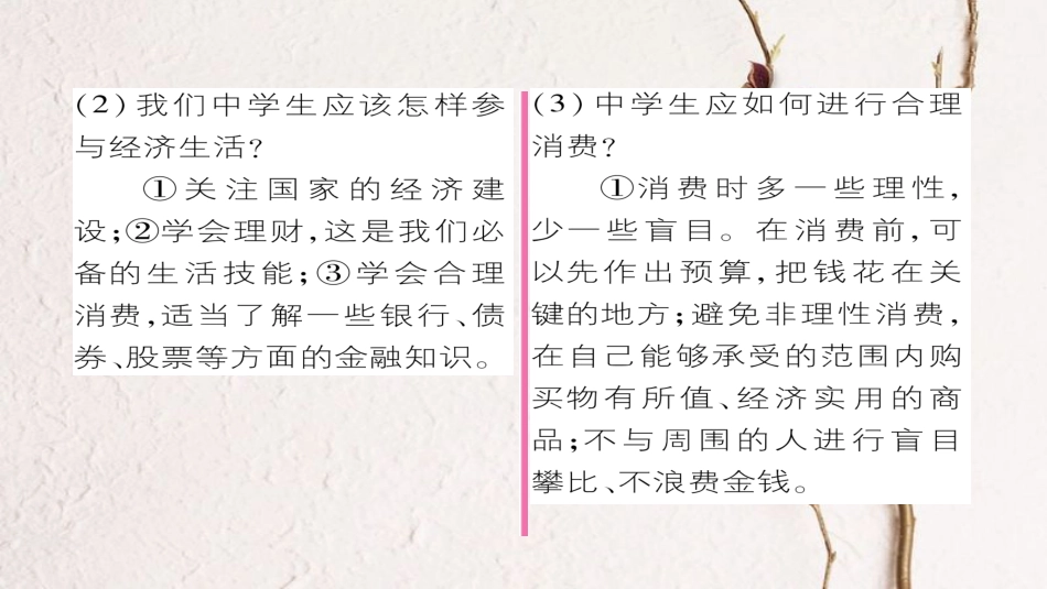 九年级政治全册 第三单元 融入社会 肩负使命 第七课 关注经济发展 第3框 学会合理消费同步作业课件 新人教版[共26页]_第3页