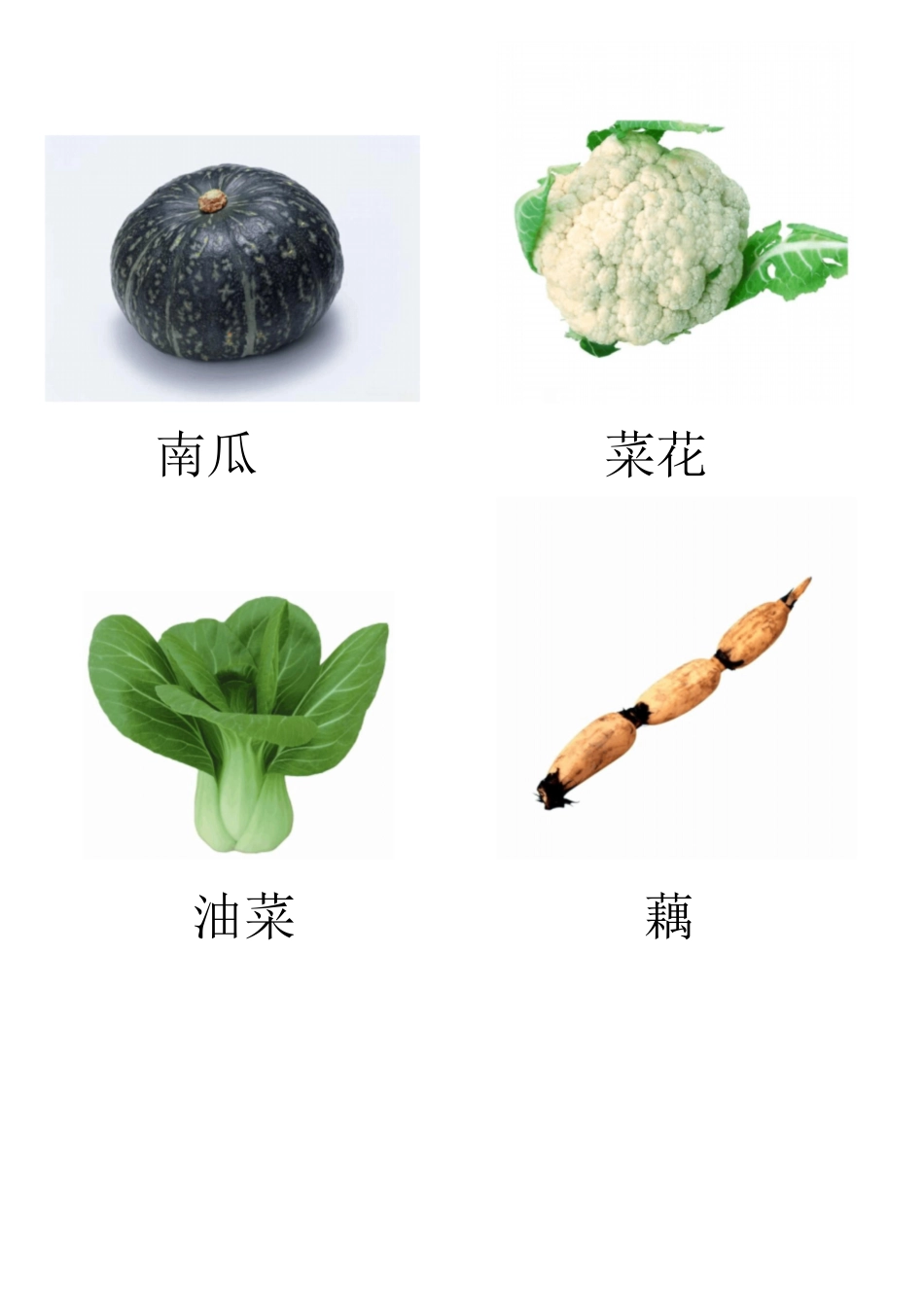 各种蔬菜图片总汇[共18页]_第3页