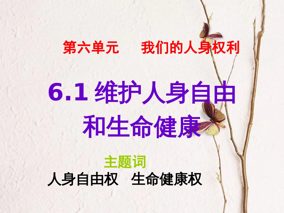 八年级政治下册 第六单元 我们的人身权利 6.1 维护人身自由课件 粤教版_第1页