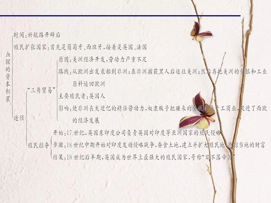 九年级历史上册 第五单元 第15课 血腥的资本积累课件 新人教版_第3页