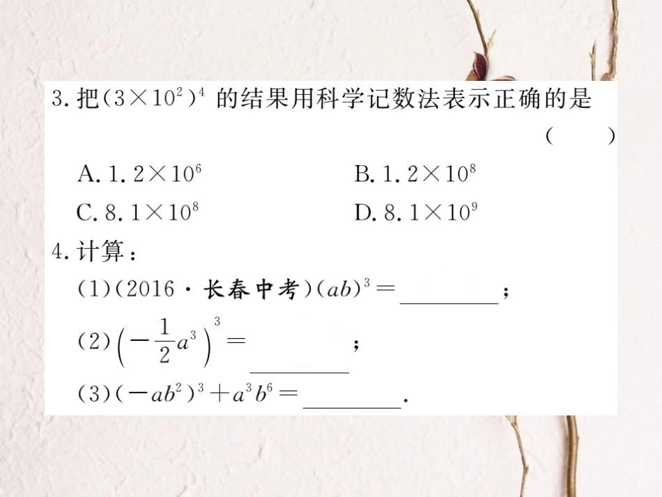 八年级数学上册 14.1.3 积的乘方习题课件 （新版）新人教版_第3页