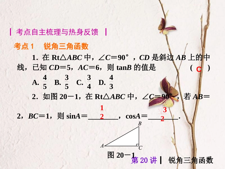 中考数学 第20讲 锐角三角函数复习课件 （新版）北师大版[共40页]_第2页