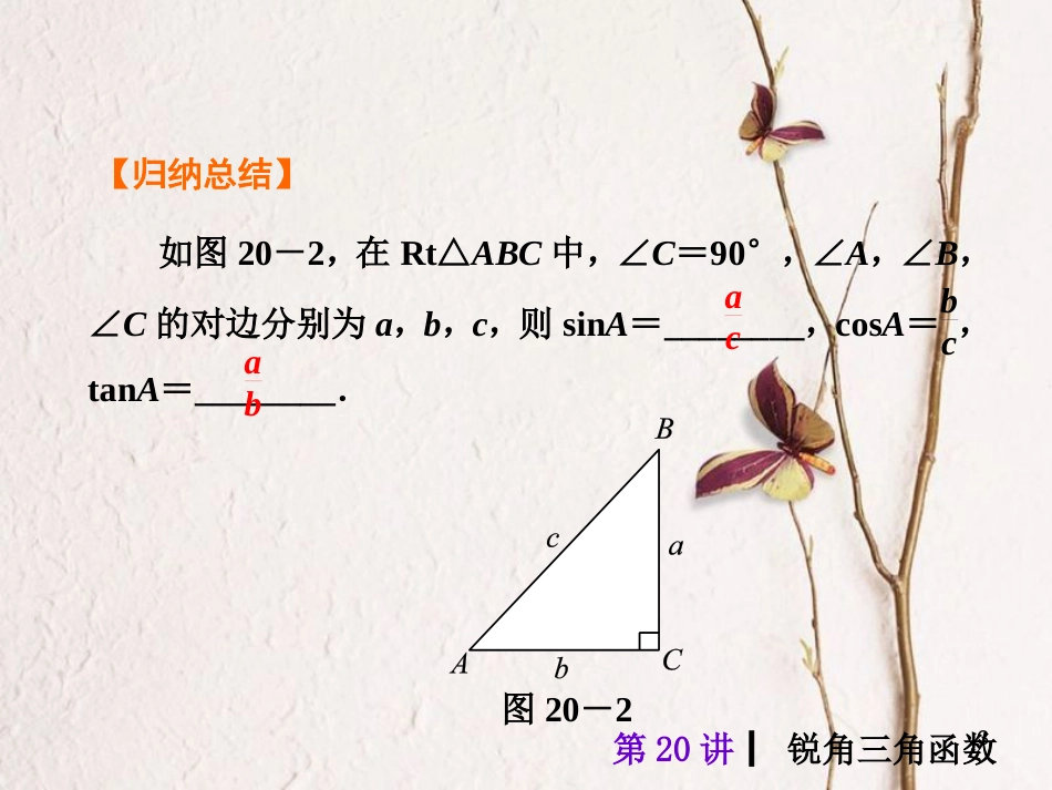 中考数学 第20讲 锐角三角函数复习课件 （新版）北师大版[共40页]_第3页