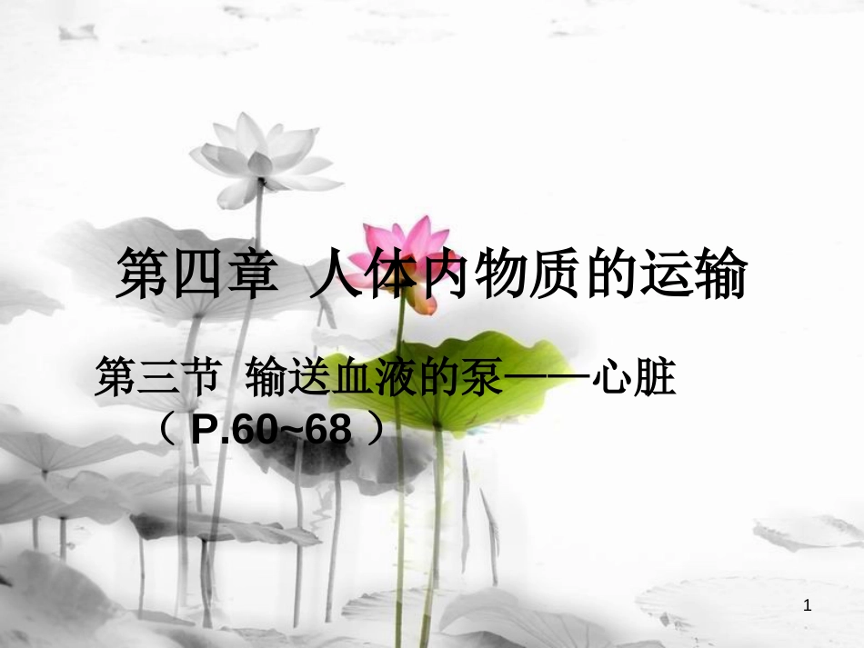 安徽省桐城市嬉子湖中心学校七年级生物下册 4.4.3 输送血液的泵-心脏课件 （新版）新人教版_第1页