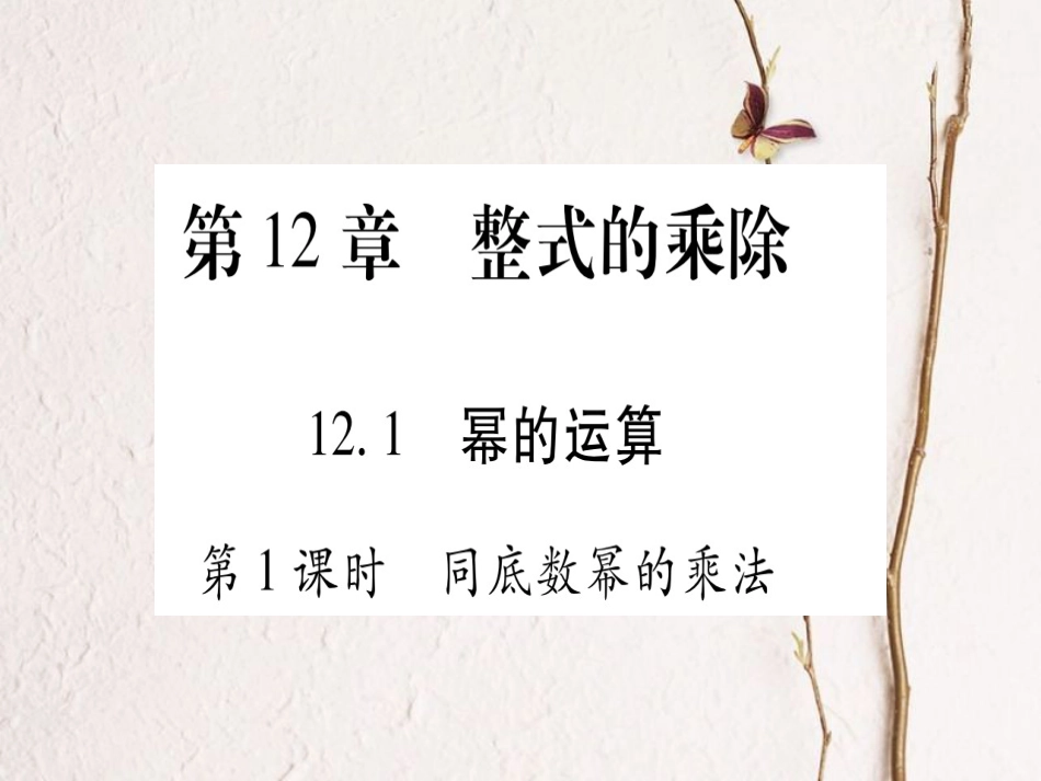 八年级数学上册 12.1 幂的运算习题课件 （新版）华东师大版[共68页]_第1页