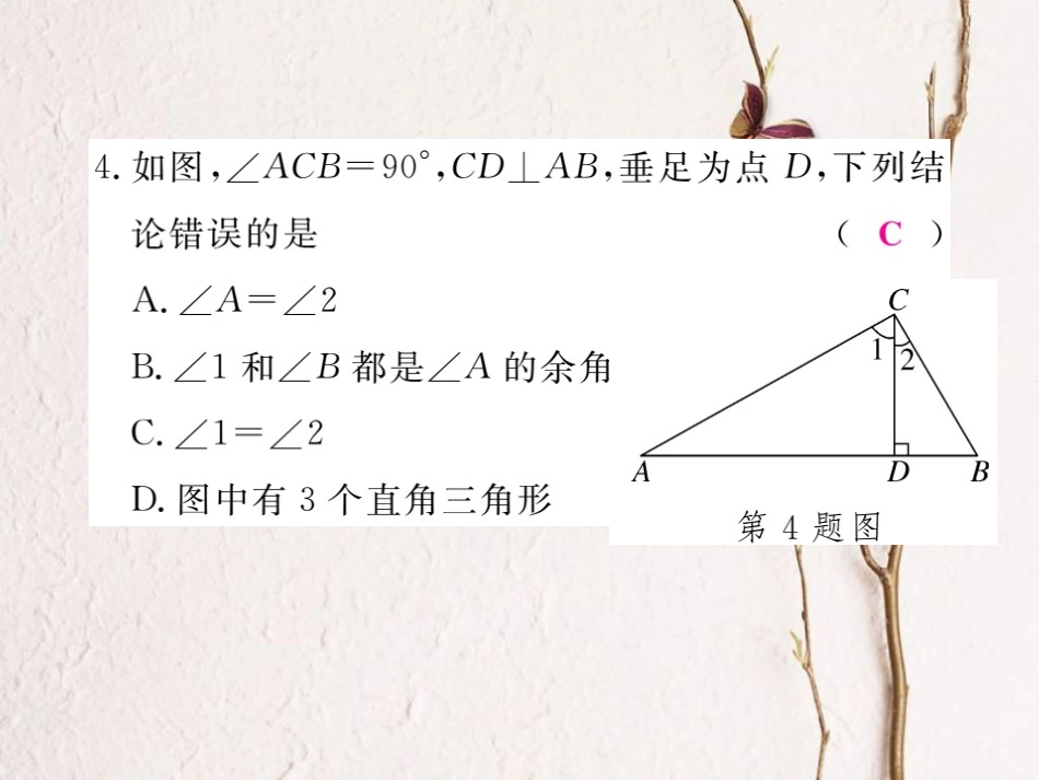 八年级数学上册 17 特殊三角形综合滚动练习 直角三角形的相关性质与判定课件 （新版）冀教版_第3页