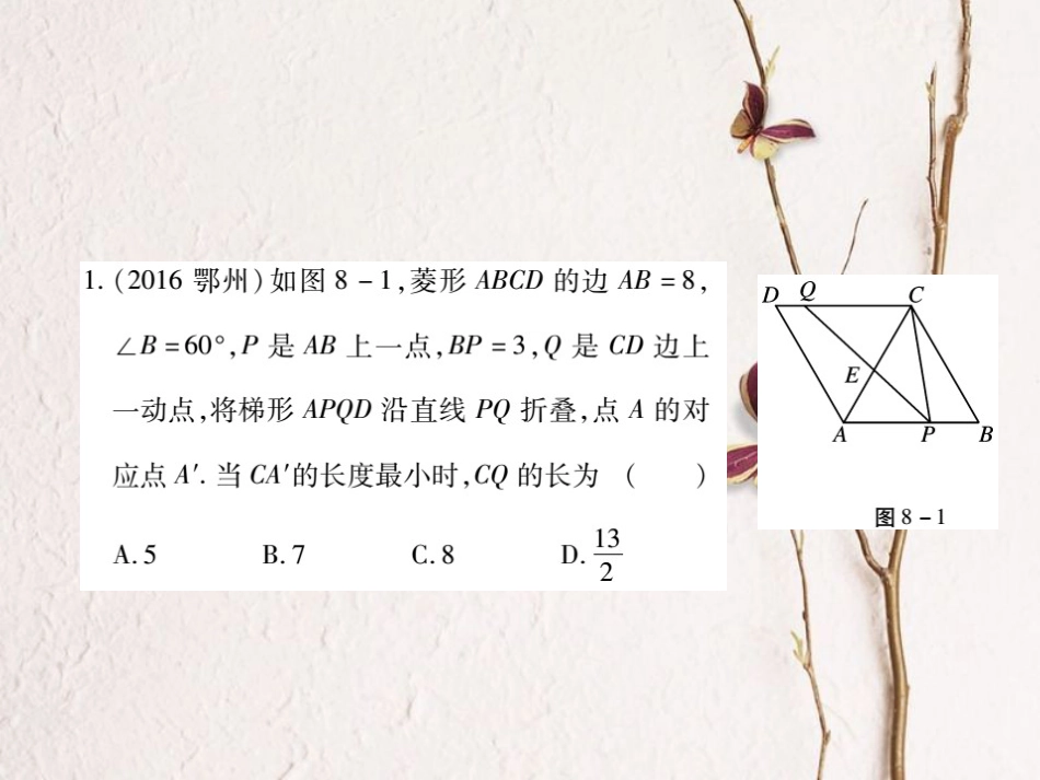 中考数学总复习 第二轮 中考专题提升 专题八 几何综合（练册本）课件[共90页]_第3页
