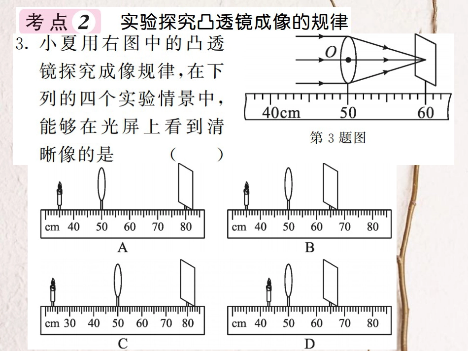 八年级物理上册 第五章 透镜及其应用单元小结 易错专攻课件 （新版）新人教版[共18页]_第3页