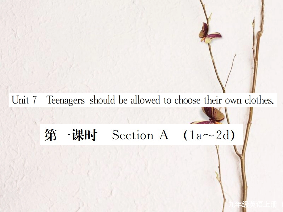 （河北专）九年级英语全册 Unit 7 Teenagers should be allowed to choose their own clothes（第1课时）习题课件 （新）人教新目标版_第1页