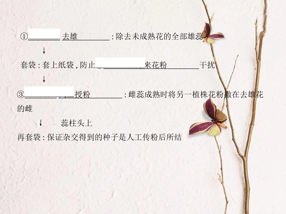 （新课标）高考生物一轮复习 遗传与进化 第6单元 遗传的基本规律 第16讲 基因的分离定律课件（必修2）[共71页]_第3页
