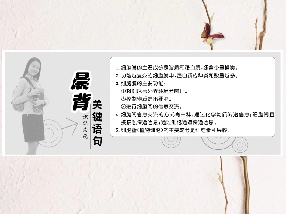 高中生物 第3章 细胞的基本结构 第1节 细胞膜——系统的边界课件 新人教版必修1_第2页