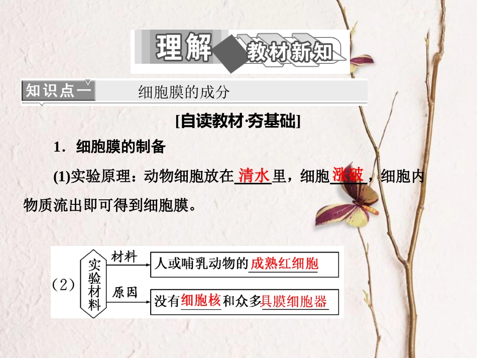 高中生物 第3章 细胞的基本结构 第1节 细胞膜——系统的边界课件 新人教版必修1_第3页