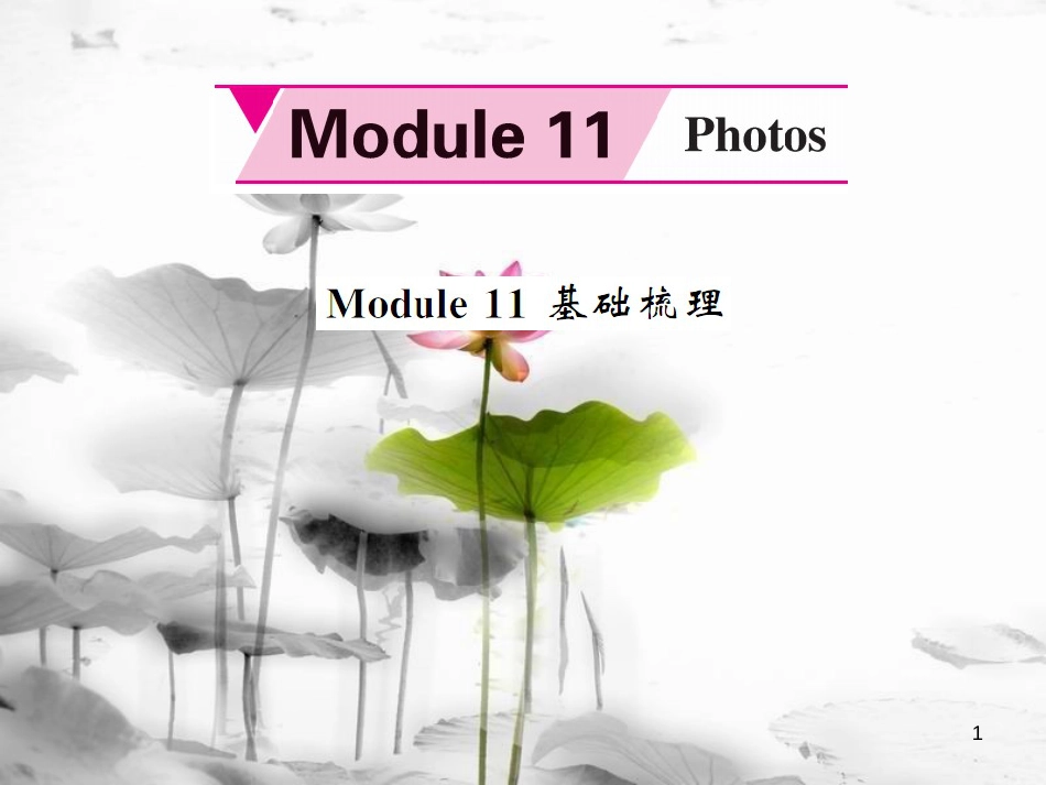 tkjAAA九年级英语上册 Module 11 Photos基础梳理课件 （新版）外研版_第1页