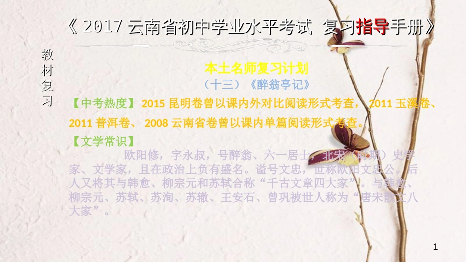 云南省中考语文 专题一 文言文阅读 本土名师复习计划（十三）《醉翁亭记》复习课件_第1页
