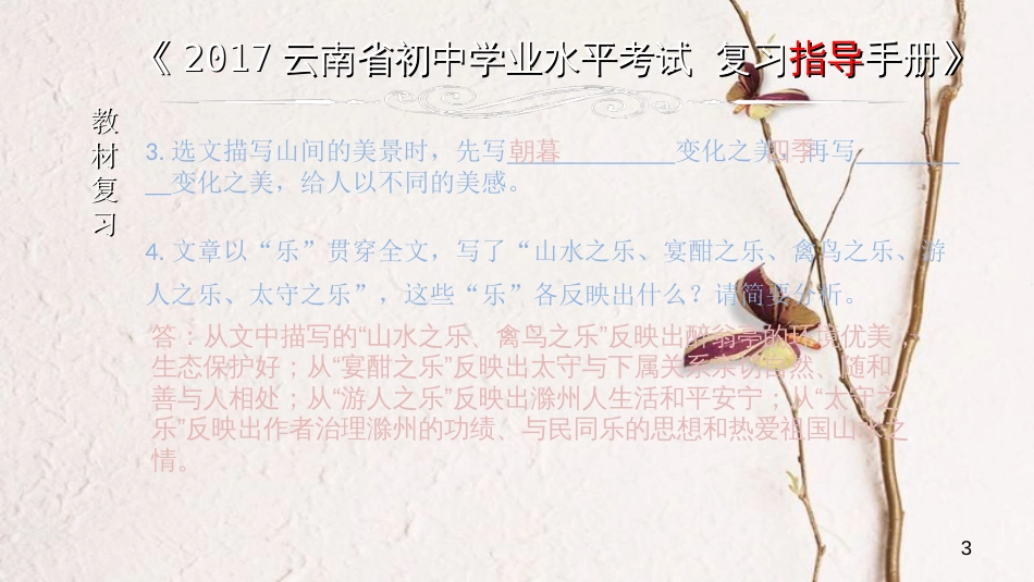 云南省中考语文 专题一 文言文阅读 本土名师复习计划（十三）《醉翁亭记》复习课件_第3页