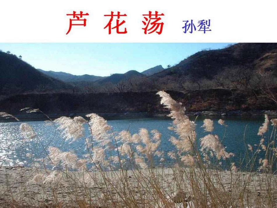 八年级语文上册 1.2《芦花荡》课件 新人教版[共43页]_第2页