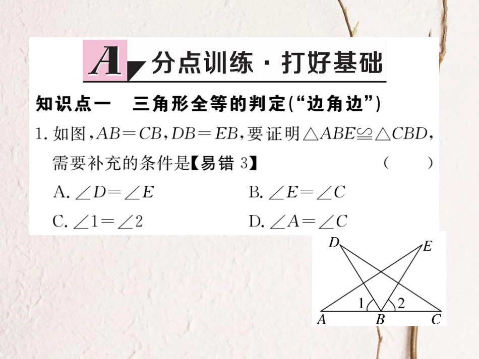 八年级数学上册 12.2 第2课时“边角边”习题课件 （新版）新人教版_第2页