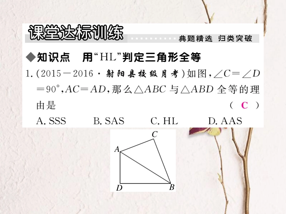 八年级数学上册 17.4 直角三角形全等的判定习题课件 （新版）冀教版_第3页