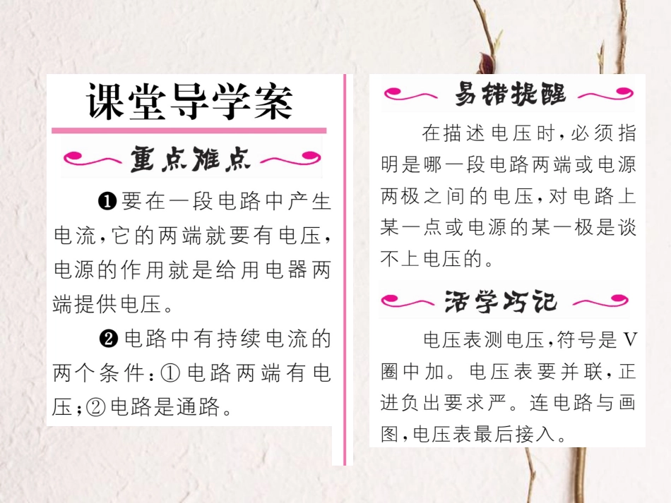 （黔西南地区）九年级物理全册 第16章 电压 电阻 第1节 电压习题课件 （新）新人教_第2页