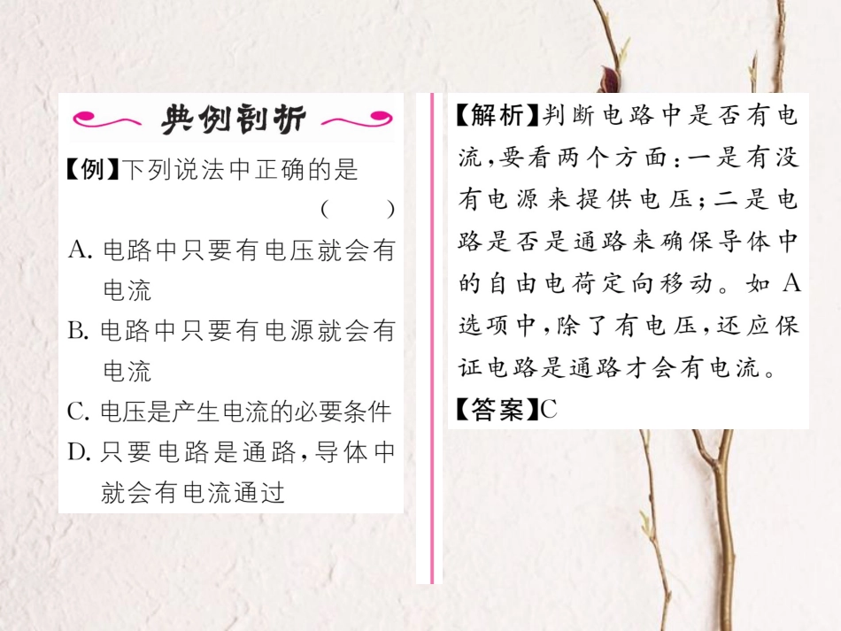 （黔西南地区）九年级物理全册 第16章 电压 电阻 第1节 电压习题课件 （新）新人教_第3页