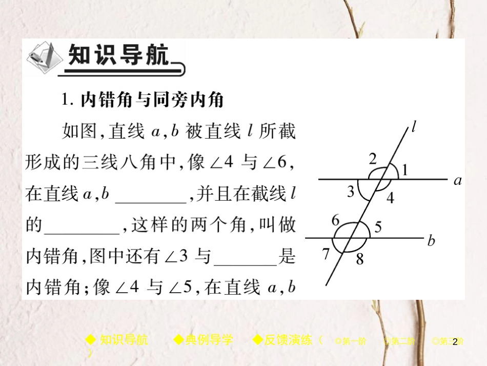 七年级数学下册 第二章 相交线与平行线 2 探索直线平行的条件 第2课时 两直线平行的条件（二）课件 （新版）北师大版_第2页